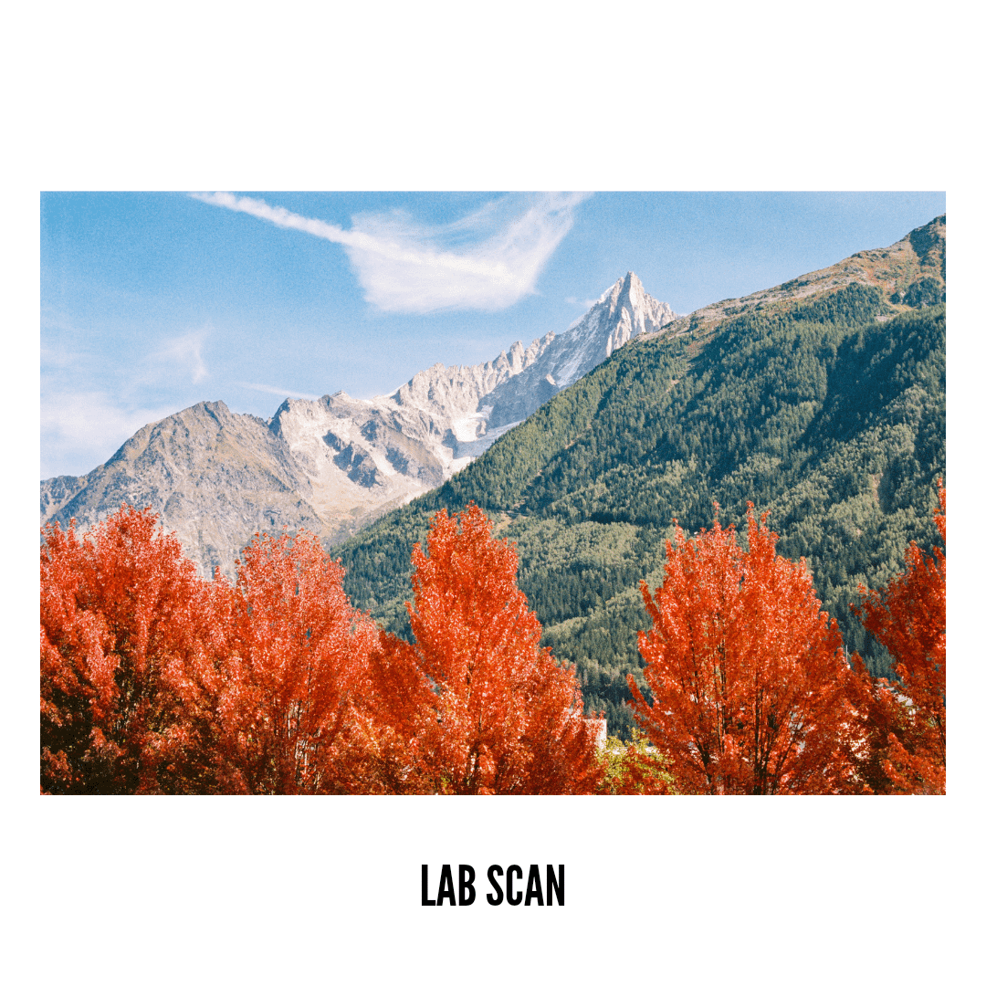 Bright orange autumn trees stand in front of a mountain range with a clear blue sky.