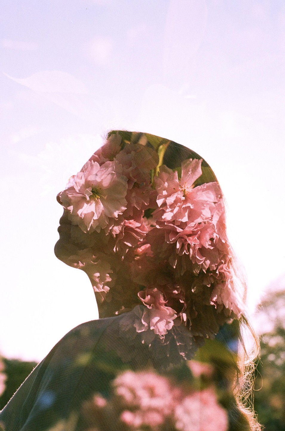 A double exposure shows a woman's profile filled with pink blossoms against a bright sky.