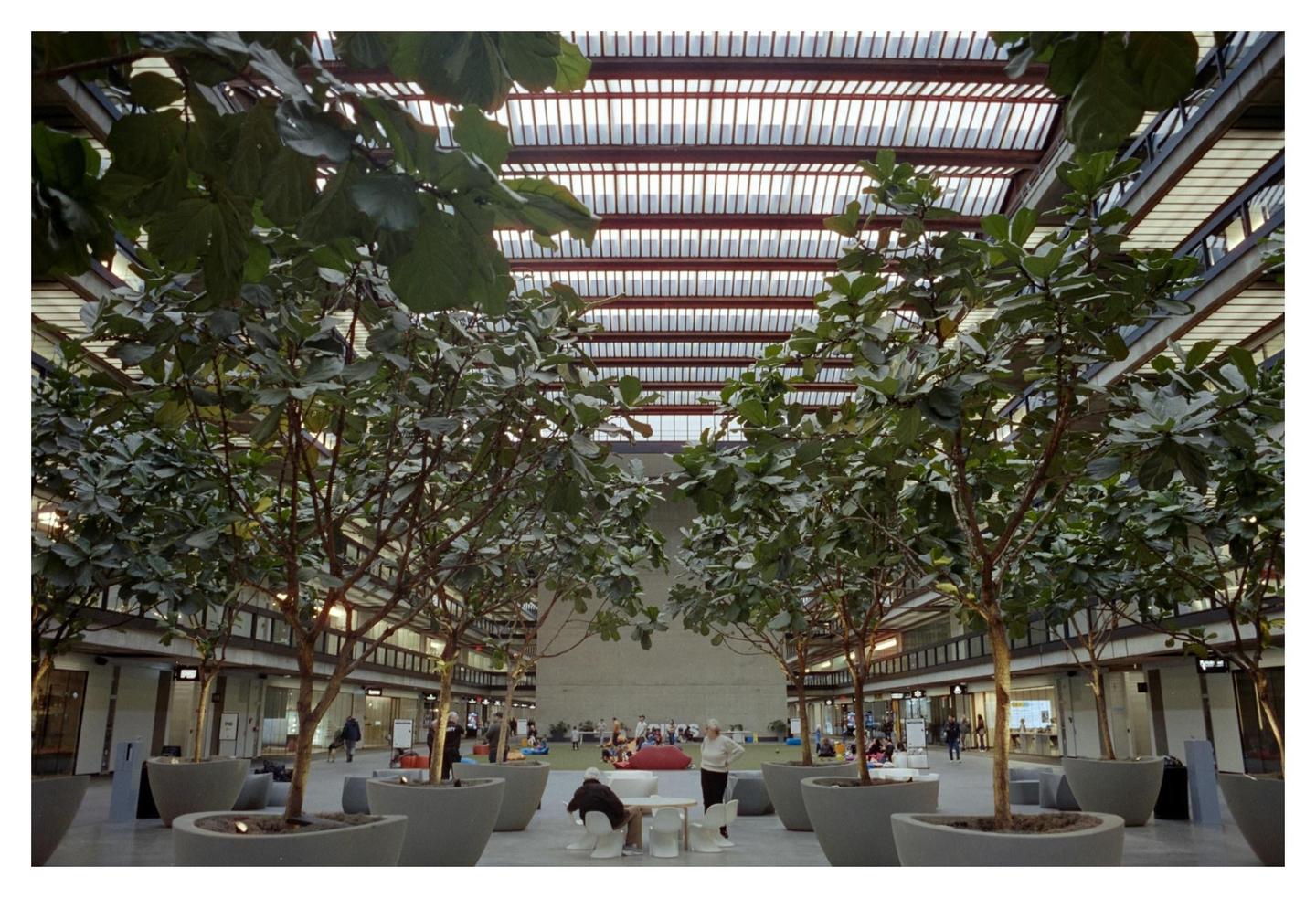 A large indoor atrium features rows of trees in planters, with people gathered in the distance and a glass ceiling overhead.
