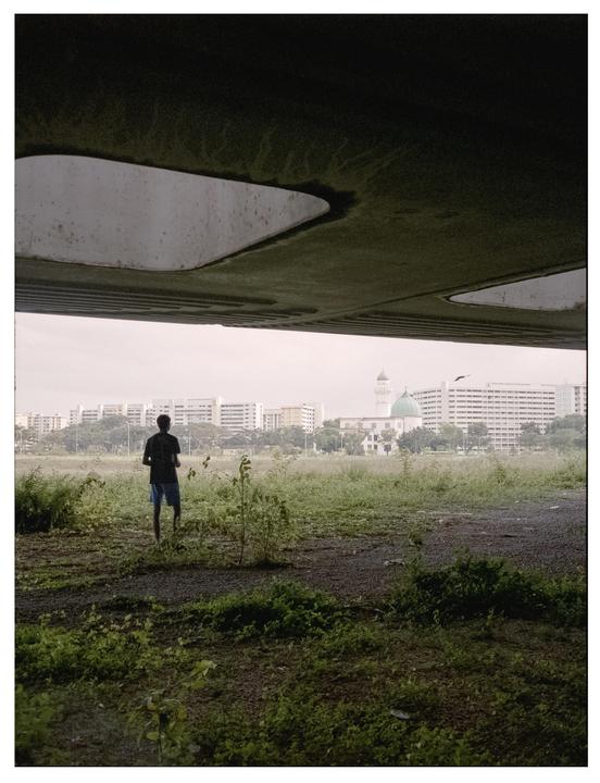 A man stands in a field of tall grass and weeds, looking towards a city skyline with a mosque.