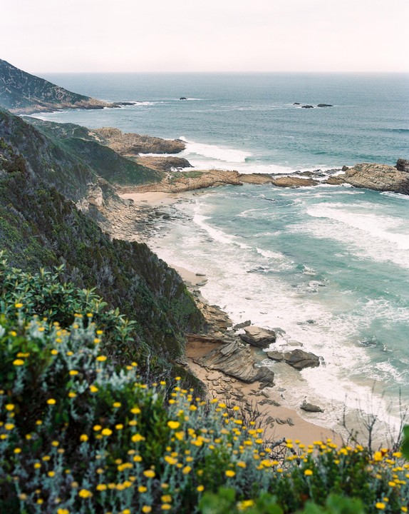 A high-angle landscape view shows a rocky coastline with waves crashing on the shore and yellow flowers in the foreground.
