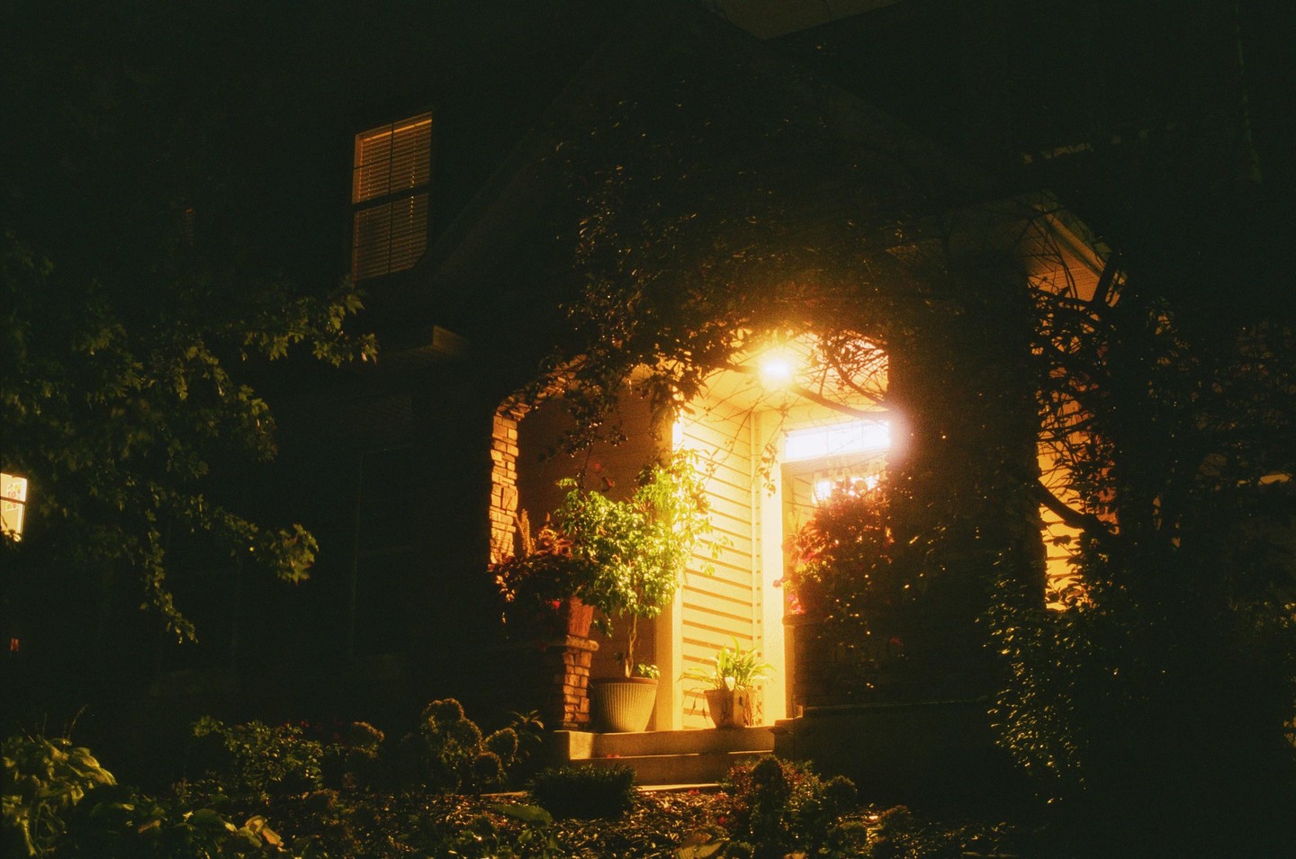 A brightly lit doorway of a house is surrounded by dark foliage at night.