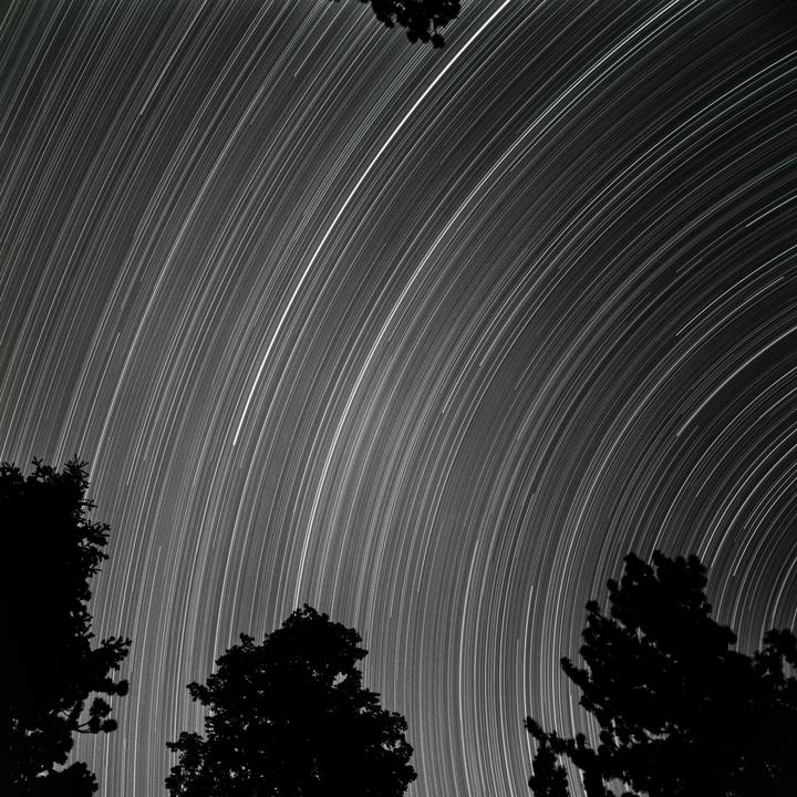Star trails arc across the night sky above silhouetted trees.