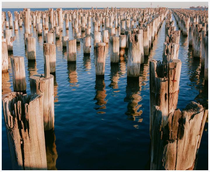 Numerous weathered wooden pillars rise from the water, casting reflections on the surface.