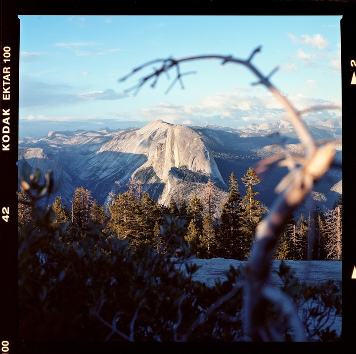 A mountain range with a prominent dome-shaped peak is visible above a forest, with a blurred branch in the foreground.