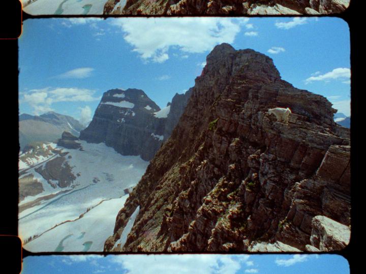 A mountain goat stands on a rocky mountain peak overlooking a snow-covered valley.