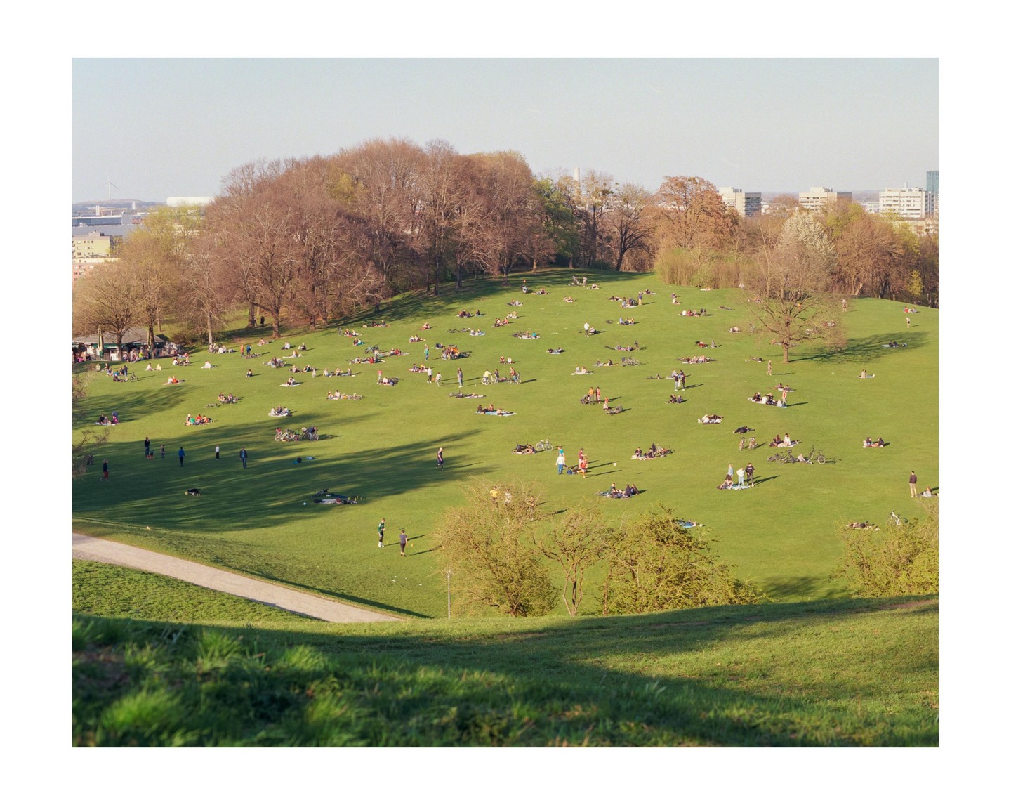 Many people are relaxing on a large grassy hill in a park with trees and buildings in the distance.