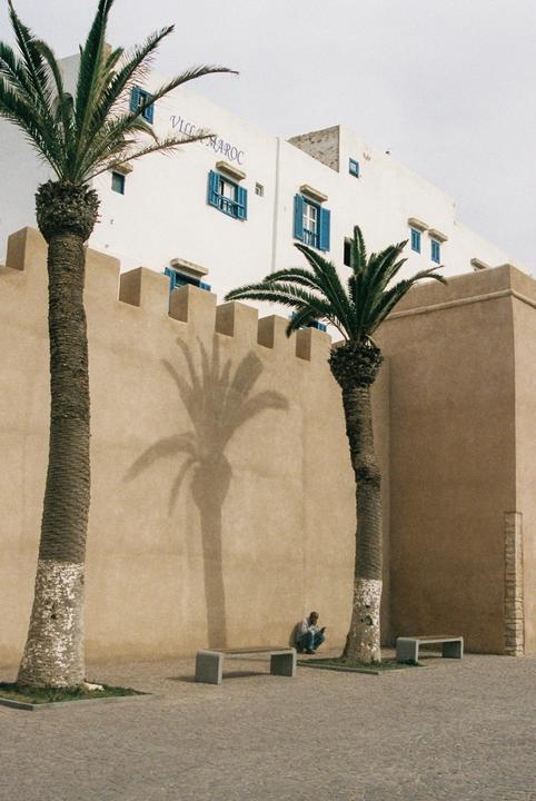 A man crouches on a paved street next to a palm tree, with a building and wall in the background.