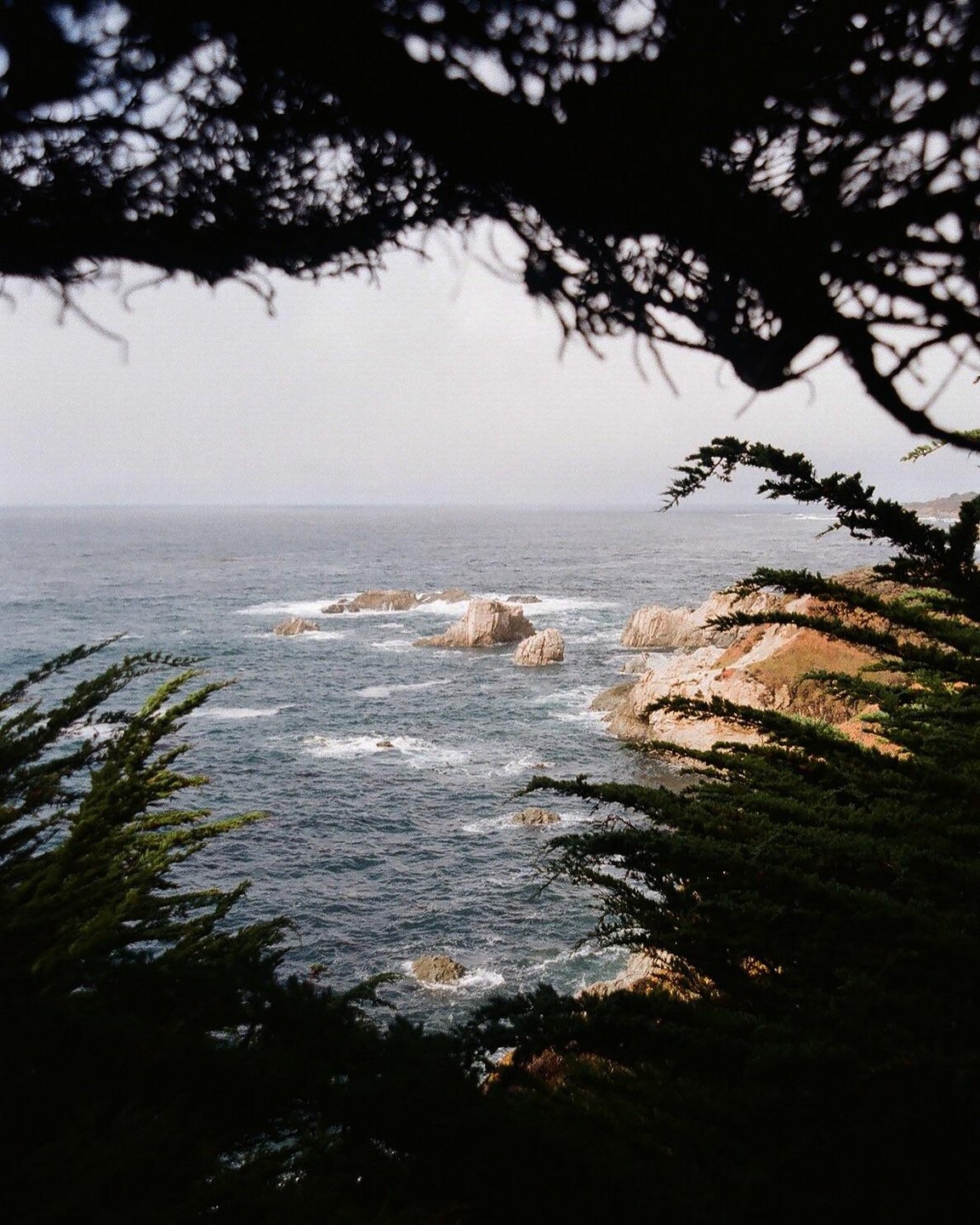 A view of the ocean with rocky outcrops and a coastline framed by dark tree branches.