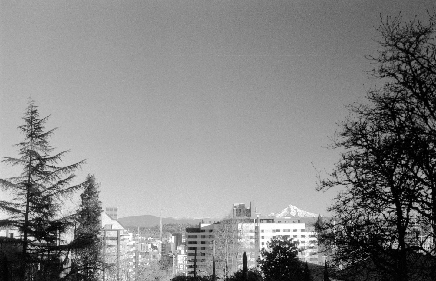 A black and white landscape shows a city with a snow-capped mountain in the distance, framed by trees on either side.