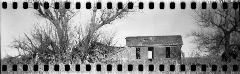 An abandoned wooden house stands among tall grass and bare trees under a bright sky.
