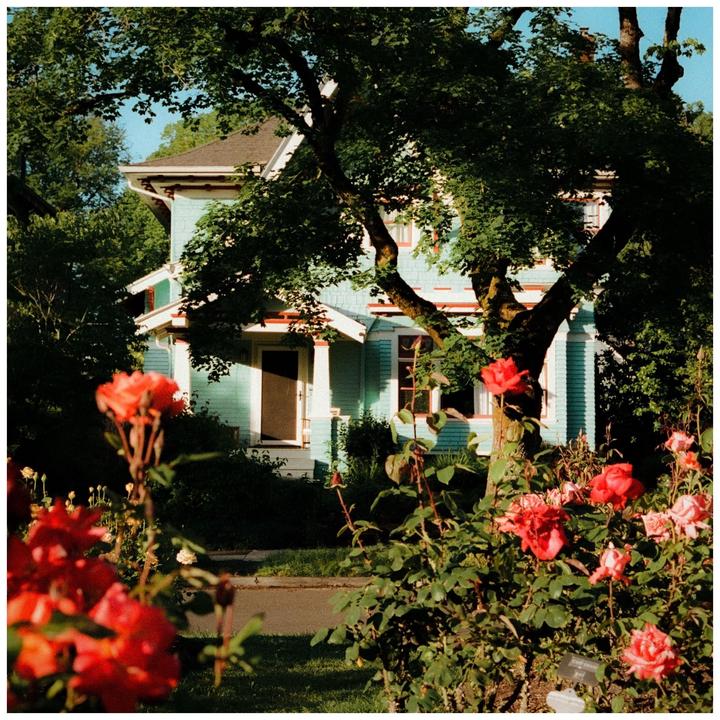 A light blue house is partially obscured by a large tree and red roses in the foreground.