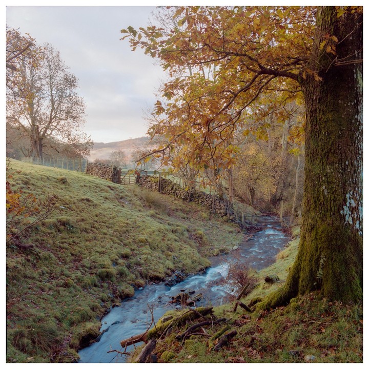 A stream flows through a valley with a stone wall and trees with autumn foliage.