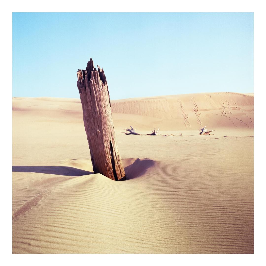Bronica SQ-Ai; 50mm Zenzanon-S; Ektar 100, shot on BRONICA SQ-AI