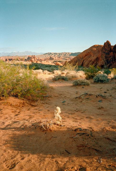 A desert landscape features red rock formations, sand, and sparse vegetation under a clear sky.