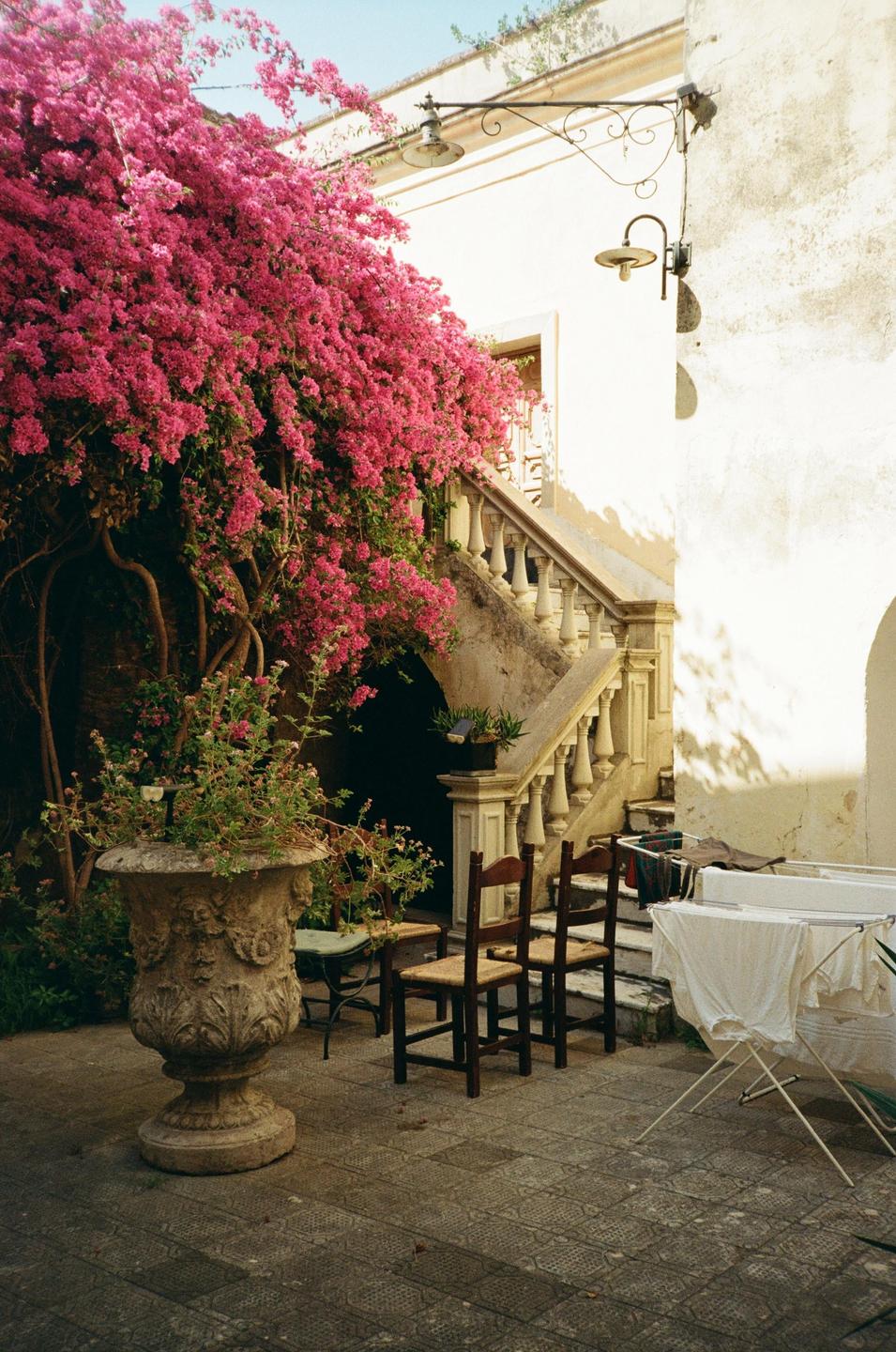 A stone staircase with a balustrade is surrounded by vibrant pink bougainvillea and a large stone planter in a courtyard.