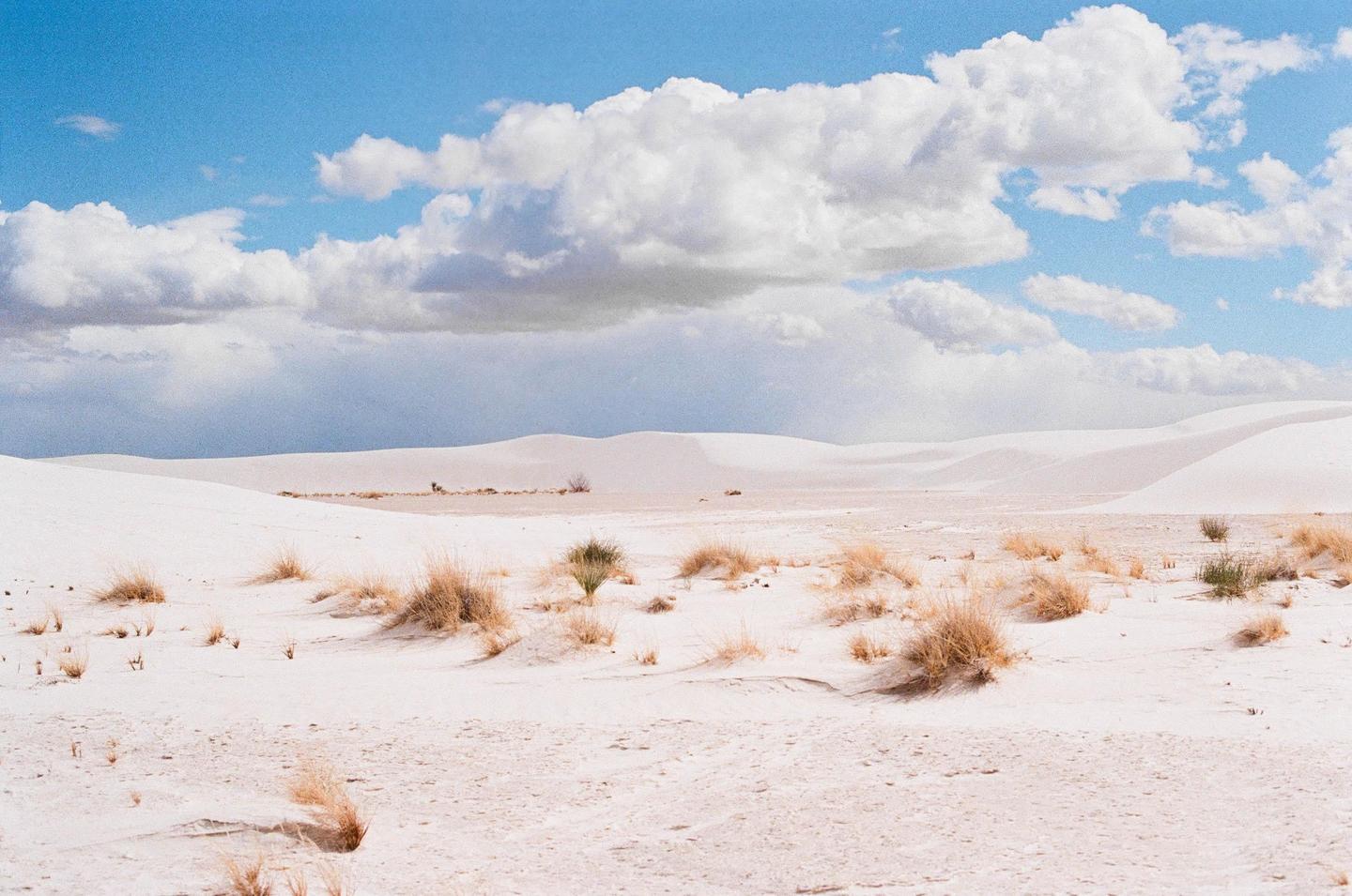 A desert landscape with white sand dunes and sparse vegetation under a blue sky with white clouds.