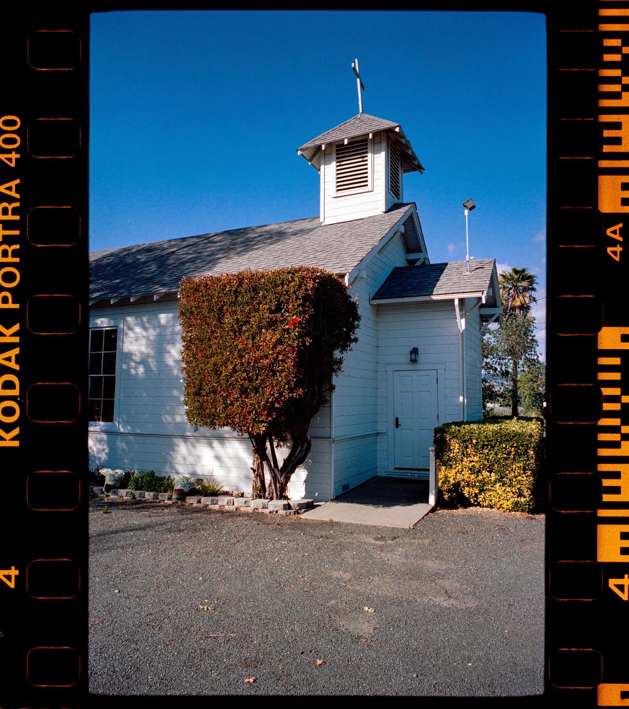 A white church with a steeple and cross stands next to a large, square-trimmed bush under a clear blue sky.