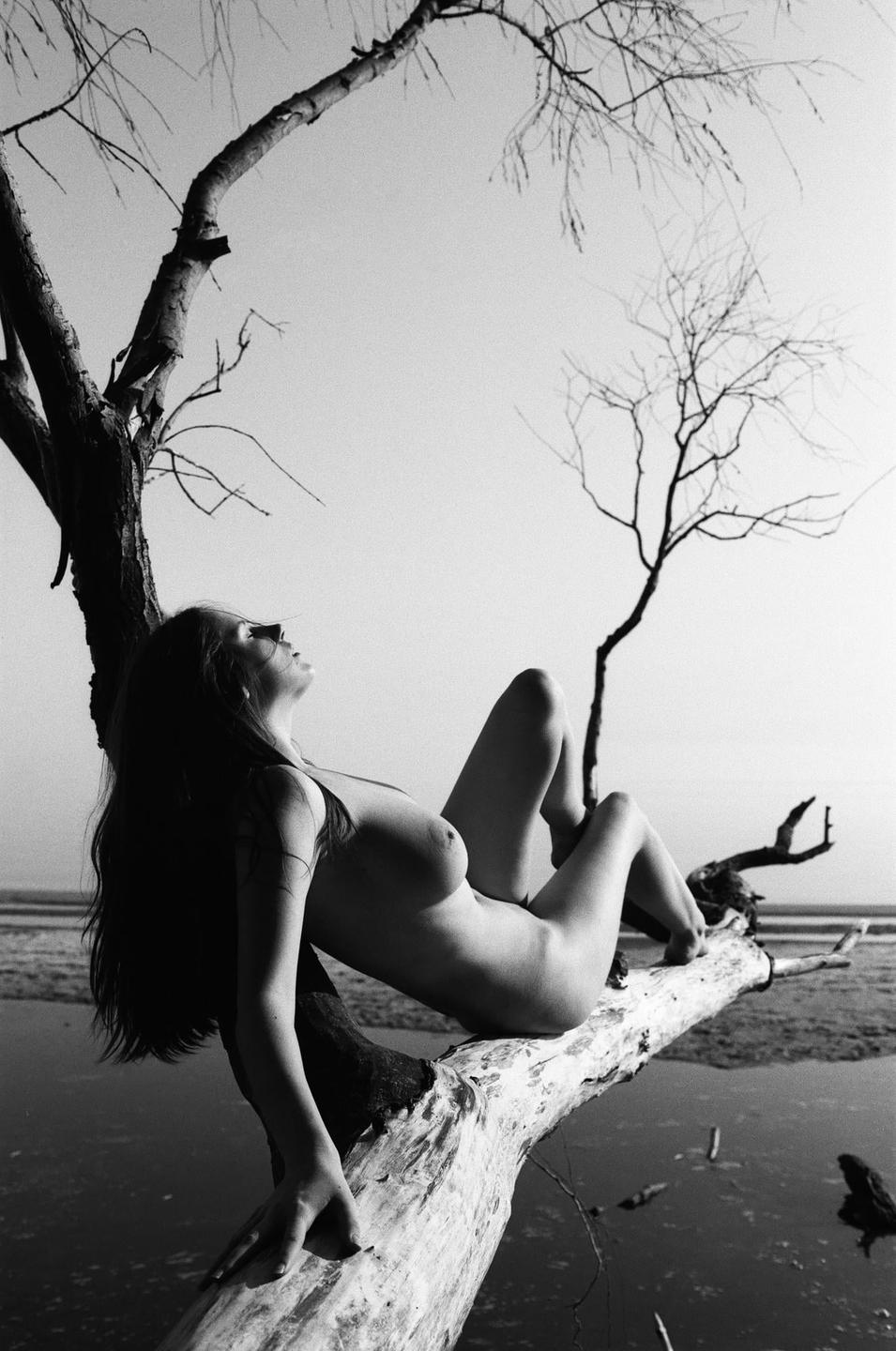 A nude woman reclines on a tree branch over water.