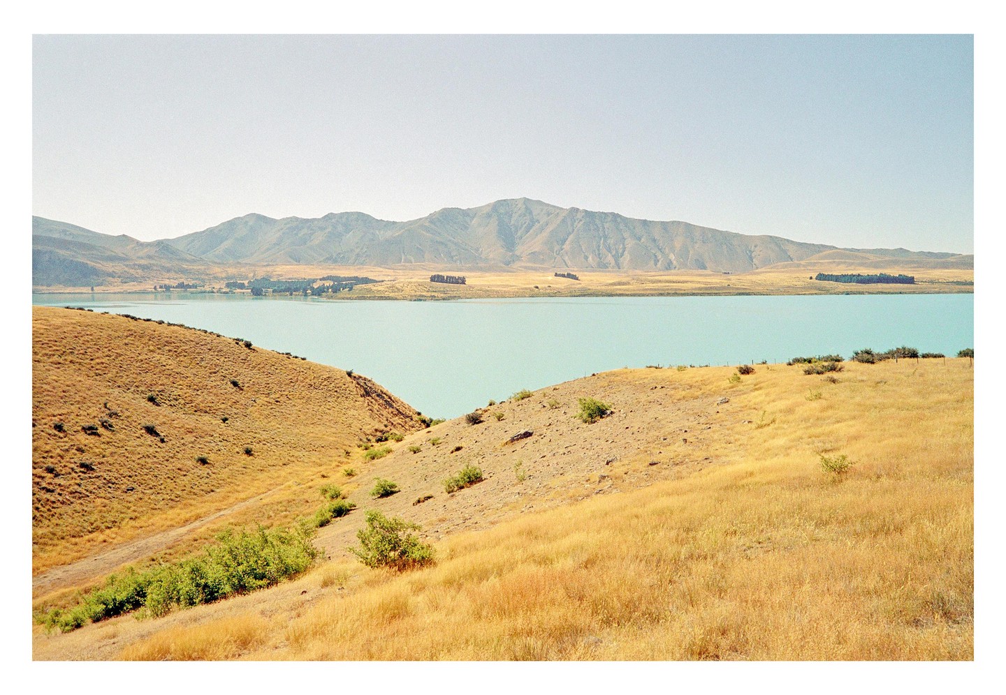 A turquoise lake is surrounded by golden hills and mountains under a clear sky.