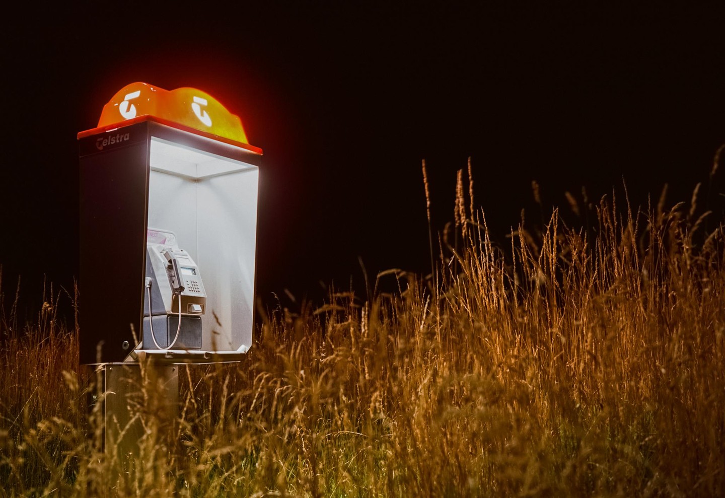 A brightly lit public telephone booth stands in a field of tall, dry grass at night.