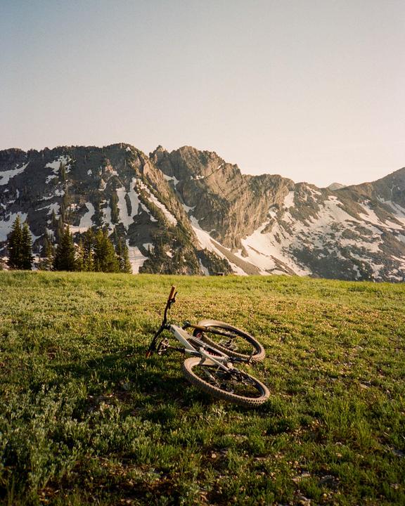 A mountain bike lies on a grassy hill with snow-capped mountains and pine trees in the background.