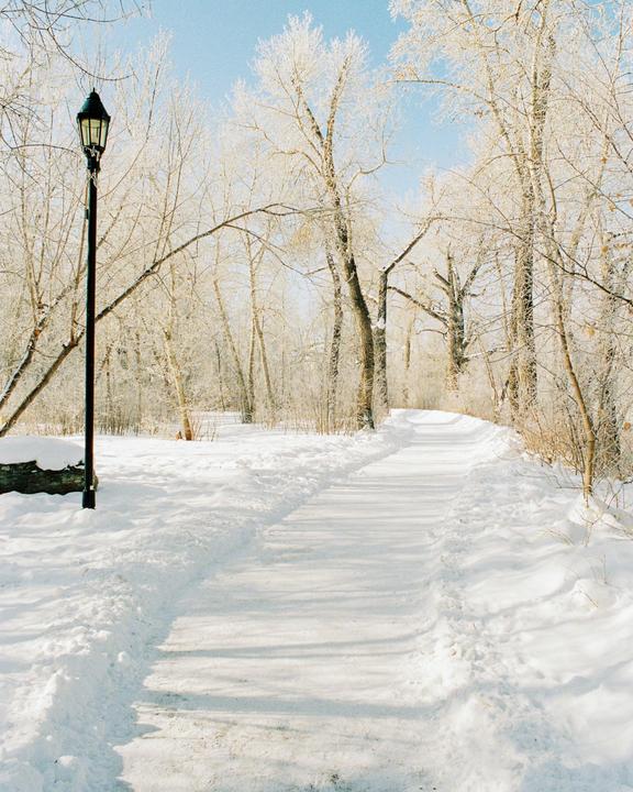A snow-covered path leads through a winter forest with a lamppost on the left.