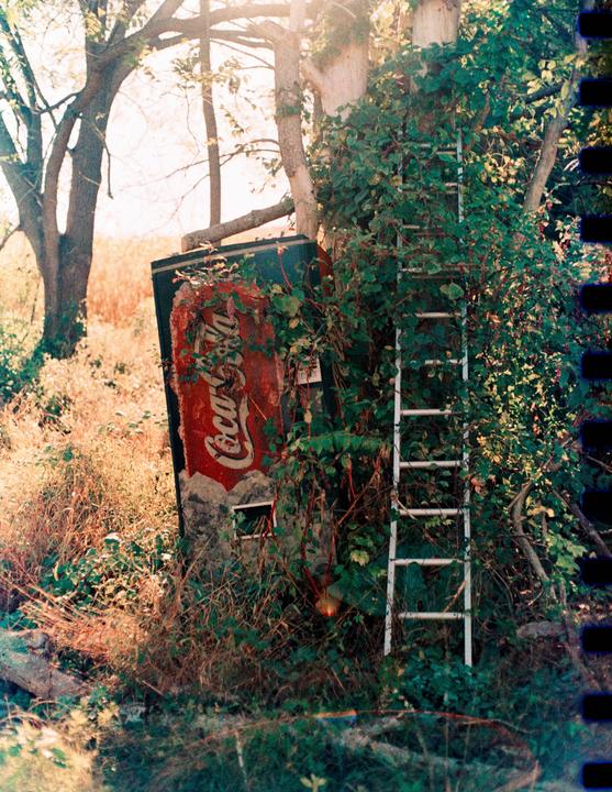 An old Coca-Cola machine is overgrown with vines next to a ladder and trees.