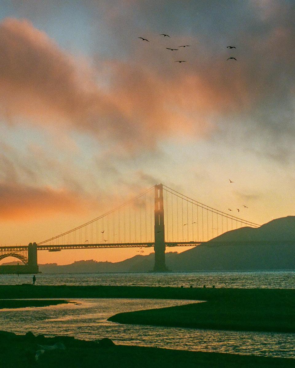 The Golden Gate Bridge is visible at sunset with birds flying overhead and a person standing on the shore.