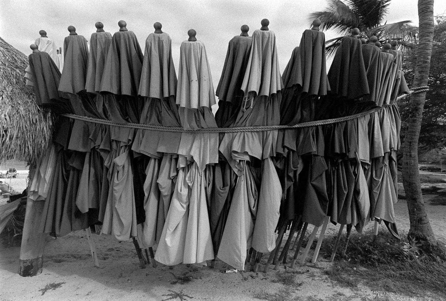 A row of folded beach umbrellas are tied together with rope next to a palm tree and a thatched roof.
