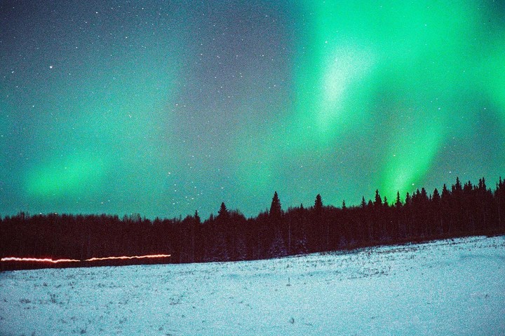 The aurora borealis glows green above a snowy field and a line of trees.