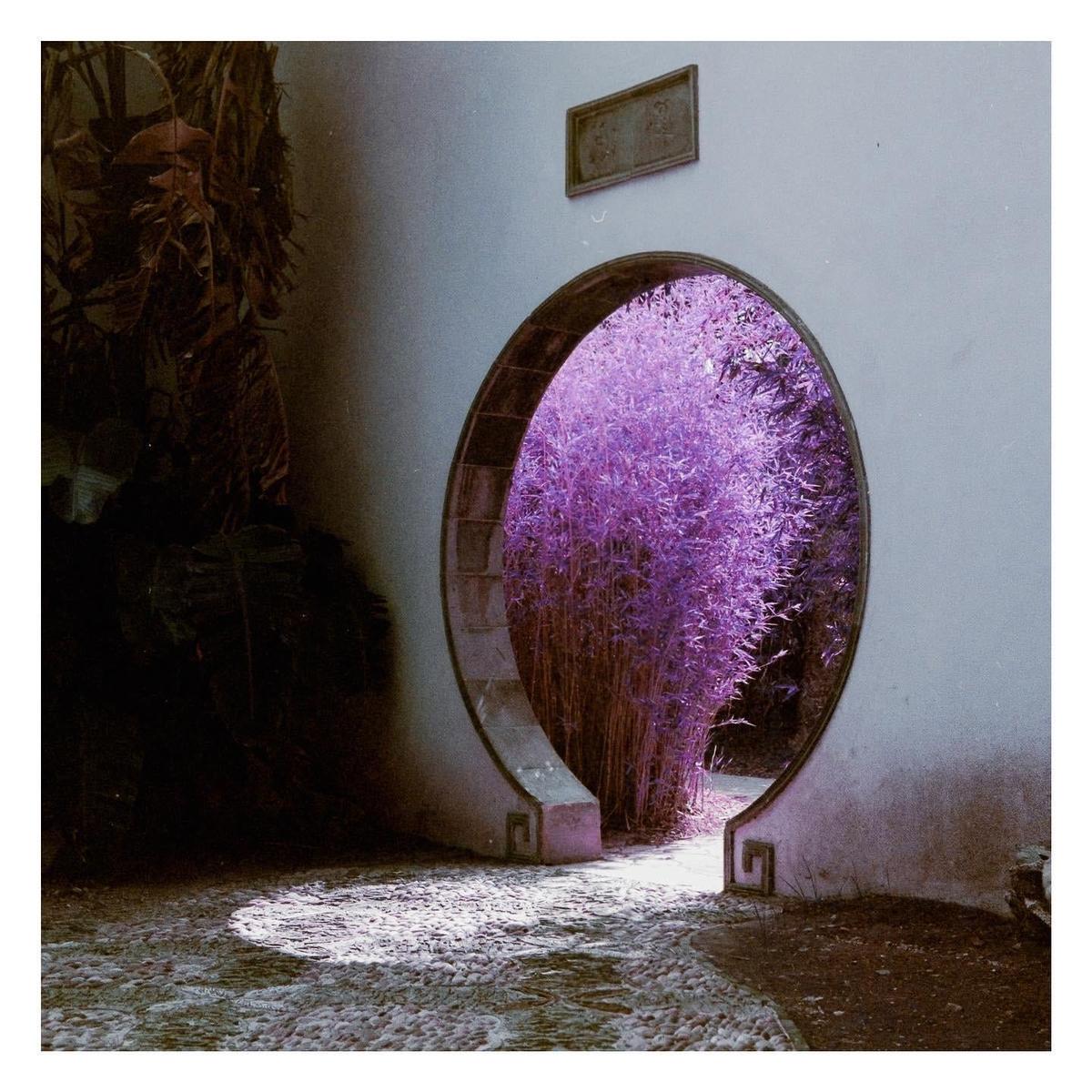 A circular moon gate opens to a garden with purple foliage and a pebbled path.