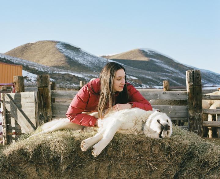 A woman in a red jacket lies on a hay bale next to a large white dog, with snowy mountains in the background.