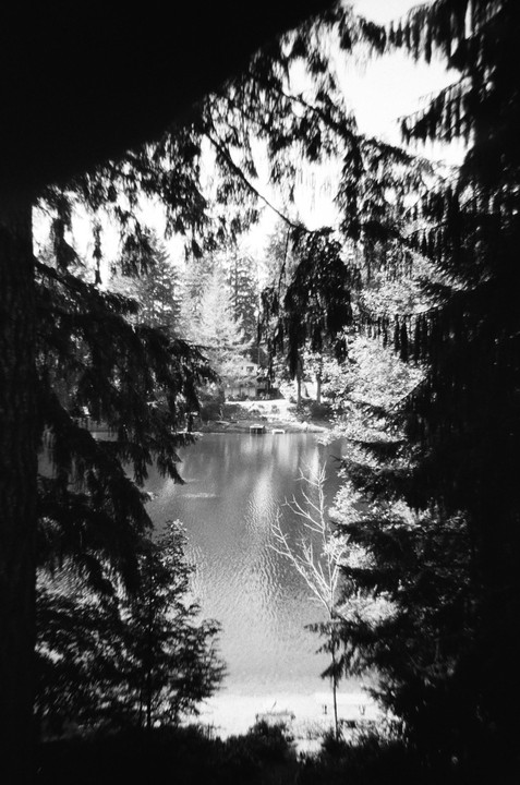 A lake is visible through a dense frame of dark tree branches and foliage.