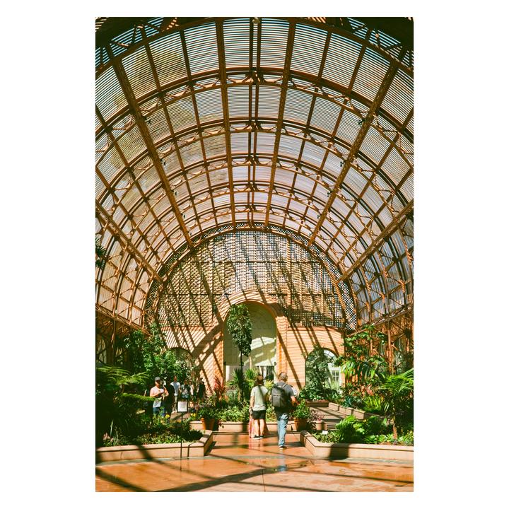 People walk through a large conservatory with a vaulted glass and metal ceiling, surrounded by lush plants.