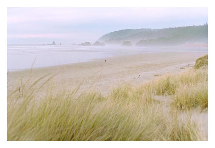A lone figure stands on a vast, misty beach with hills and rock formations in the distance.