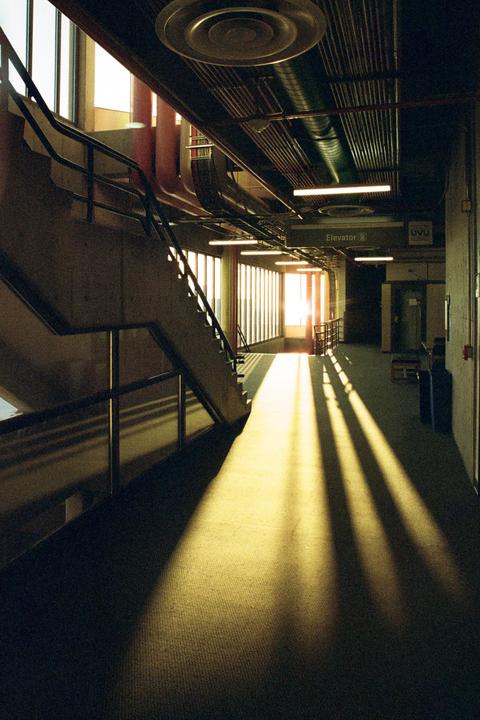 Sunlight streams through a window, casting long shadows across a carpeted hallway with a staircase and exposed pipes on the ceiling.