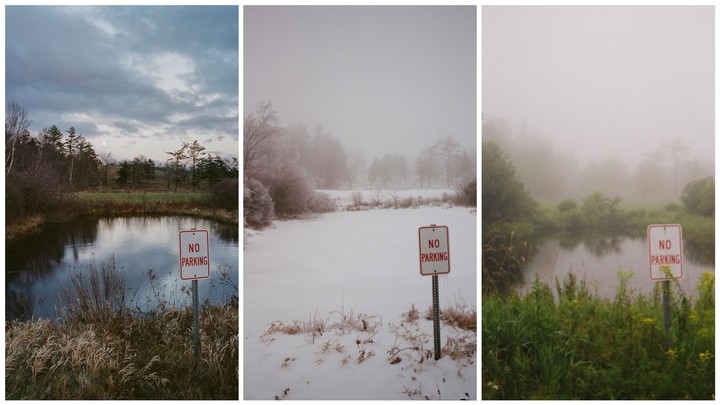 A no parking sign stands beside a pond in three different seasons.