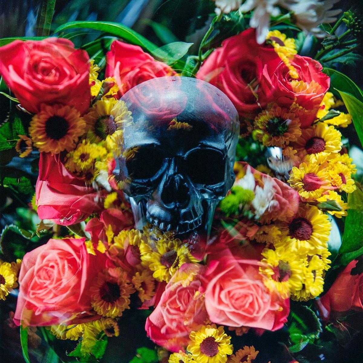 A dark skull is surrounded by red roses and yellow flowers.