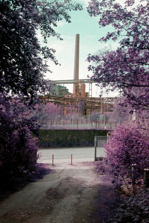 A dirt path leads to a road with an industrial complex and tall smokestack visible through purple foliage.