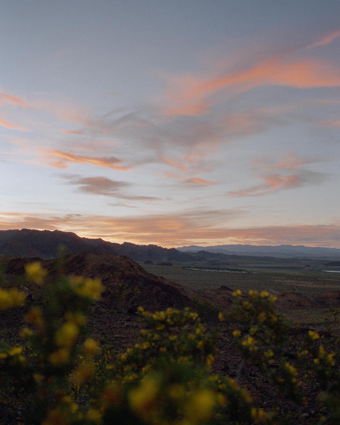 A desert landscape with mountains and yellow flowers in the foreground is visible under a colorful sky at dusk.