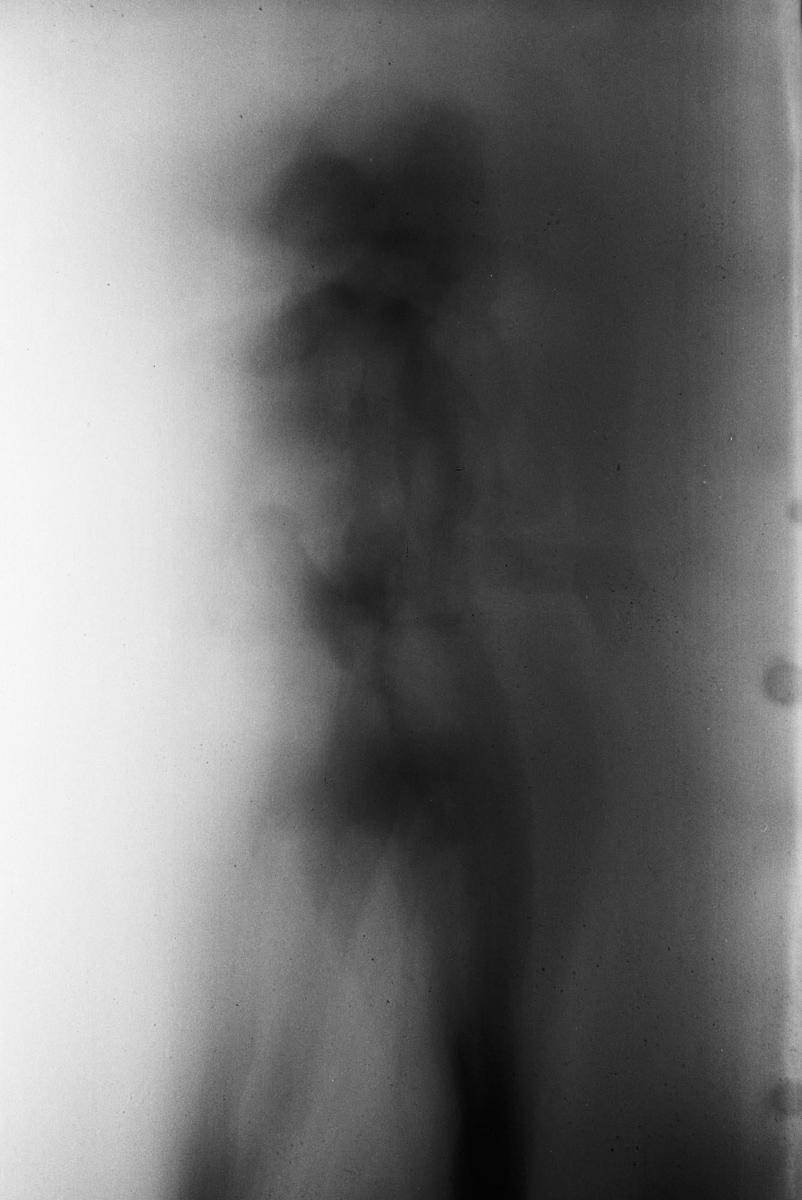 A blurry, abstract image shows a dark, vertical shape against a lighter background.