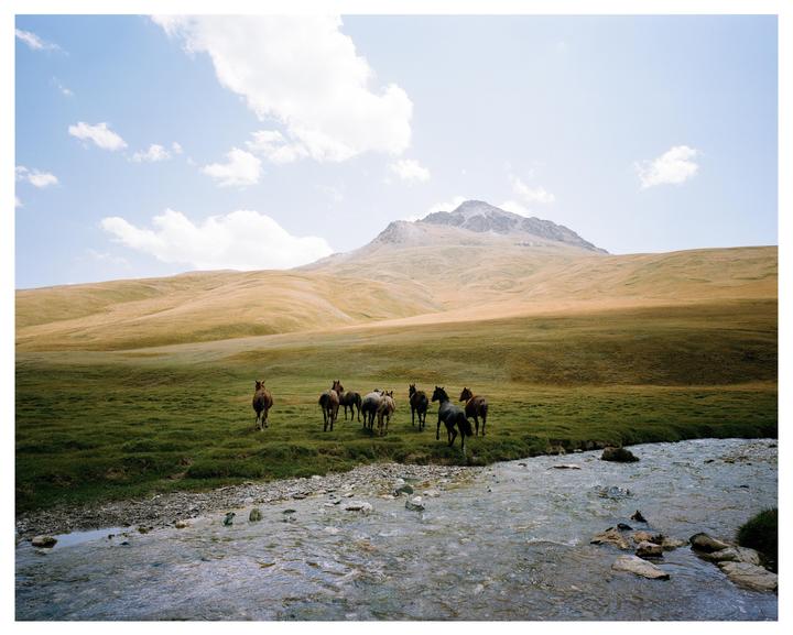 A herd of horses stands in a green field next to a rocky stream with a large mountain in the background.