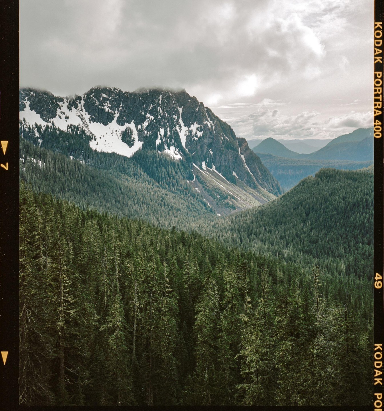 A vast forest of evergreen trees covers rolling hills and mountains, with a snow-capped peak visible under a cloudy sky.