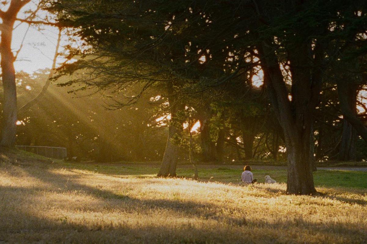 A woman and a dog sit in a field with trees and sun rays shining through the branches.