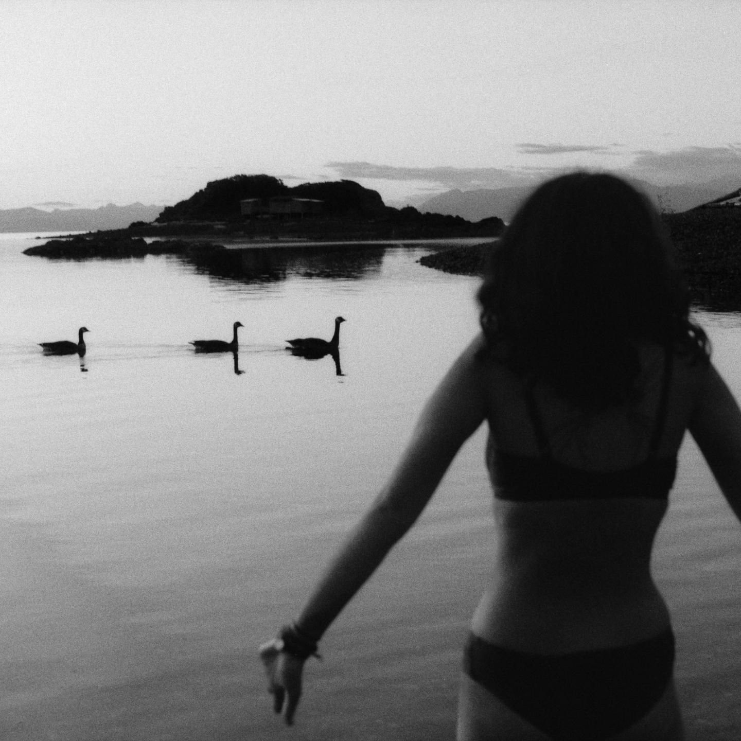 A woman in a bikini stands in the water with three geese swimming in the background.