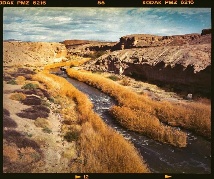 A river flows through a desert landscape with tall golden grass on its banks and rocky hills in the background.