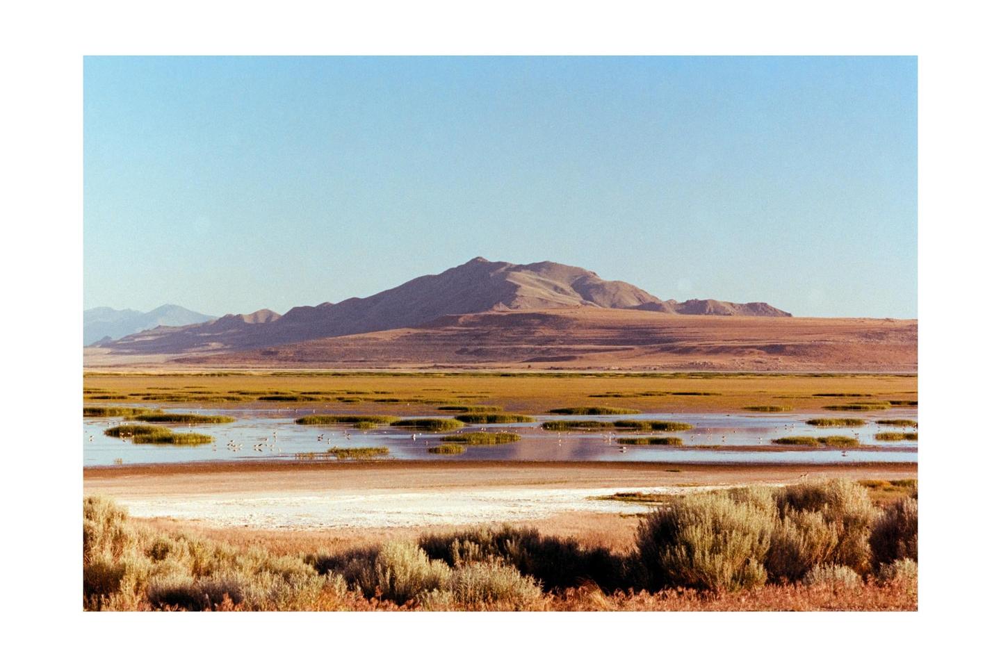 A vast landscape shows a body of water with patches of green vegetation, surrounded by dry land and distant mountains under a clear sky.