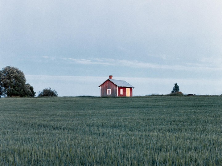 A red house with white trim sits on a hill in a field of green crops under a pale sky.