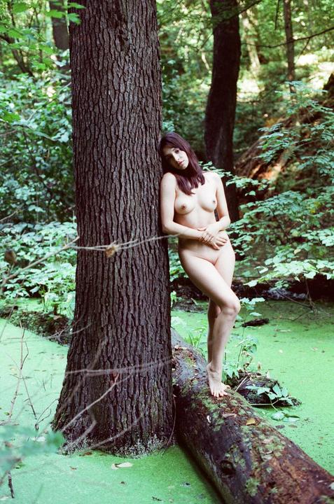 A woman stands nude leaning against a tree trunk with one foot on a fallen log in a forest with green water.